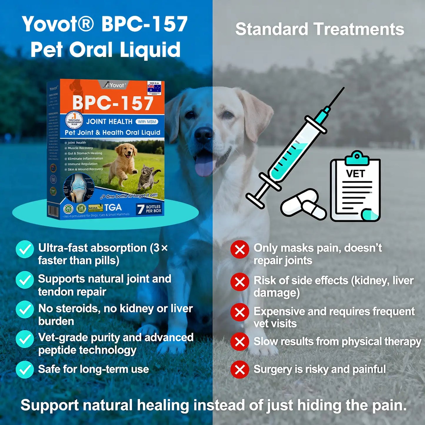 Offizieller DE-Store 🐶🐱Yovot® BPC-157 Advanced Joint & Total Body Health Oral Liquid – (Für Hunde, Katzen und Säugetiere. Eine Flasche täglich, Ergebnisse innerhalb von 7 Tagen)