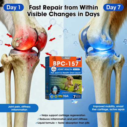 Offizieller DE-Store 🐶🐱Yovot® BPC-157 Advanced Joint & Total Body Health Oral Liquid – (Für Hunde, Katzen und Säugetiere. Eine Flasche täglich, Ergebnisse innerhalb von 7 Tagen)