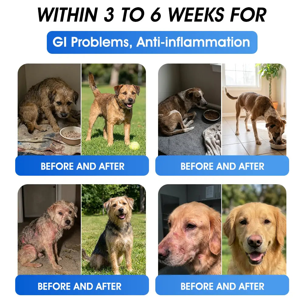 Offizieller DE-Store 🐶🐱Yovot® BPC-157 Advanced Joint & Total Body Health Oral Liquid – (Für Hunde, Katzen und Säugetiere. Eine Flasche täglich, Ergebnisse innerhalb von 7 Tagen)