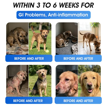 Offizieller DE-Store 🐶🐱Yovot® BPC-157 Advanced Joint & Total Body Health Oral Liquid – (Für Hunde, Katzen und Säugetiere. Eine Flasche täglich, Ergebnisse innerhalb von 7 Tagen)