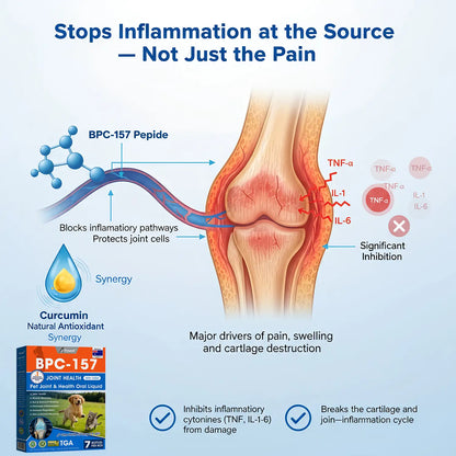 Offizieller DE-Store 🐶🐱Yovot® BPC-157 Advanced Joint & Total Body Health Oral Liquid – (Für Hunde, Katzen und Säugetiere. Eine Flasche täglich, Ergebnisse innerhalb von 7 Tagen)